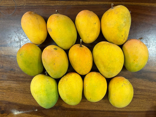 Alphonso Mangoes (1 Dozen, 4 Kgs)