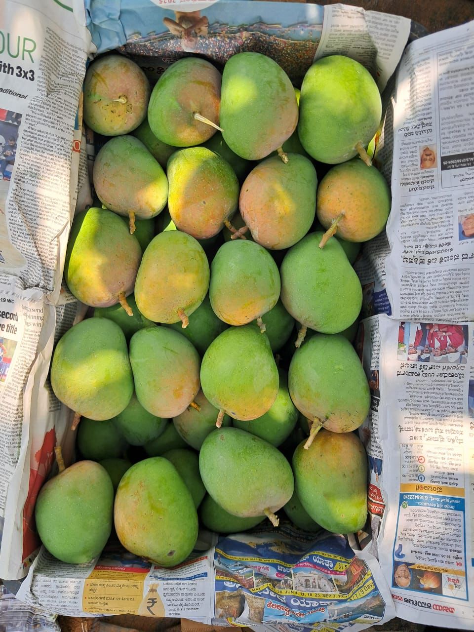 Alphonso Mangoes (1 Dozen, 4 Kgs)