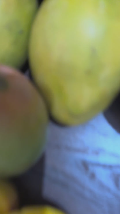 Alphonso Mangoes (1 Dozen, 4 Kgs)